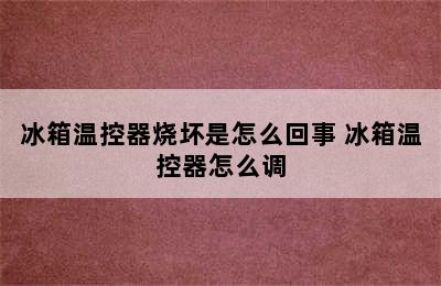 冰箱温控器烧坏是怎么回事 冰箱温控器怎么调